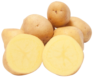 Patate Anuschka BIO - 10kg - Felderhof 